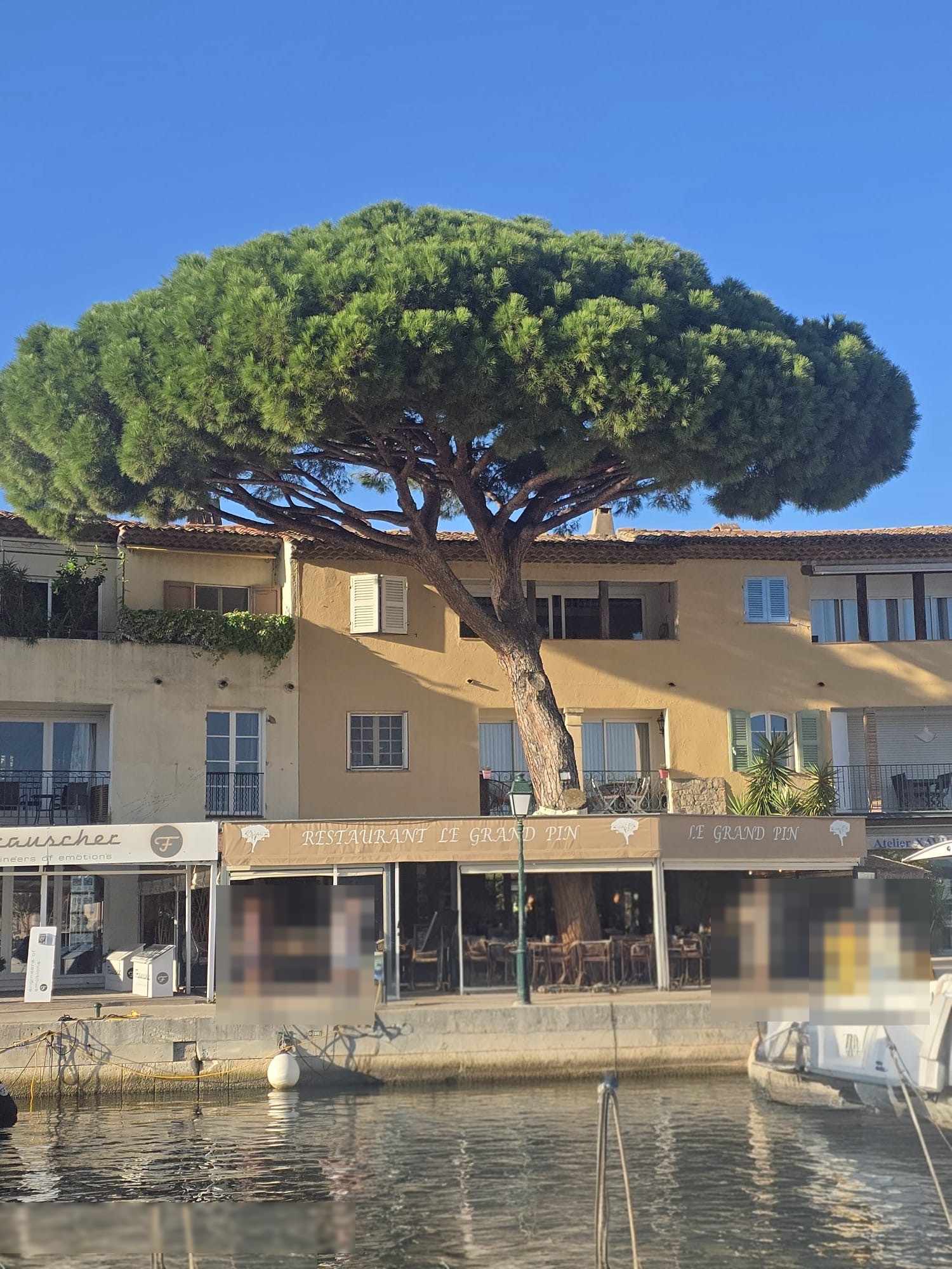 Le Grand Pin — Port-Grimaud